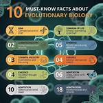 10 Essential Facts from Wikipedia