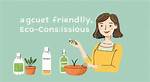 A Budget-Friendly & Eco-Conscious Guide