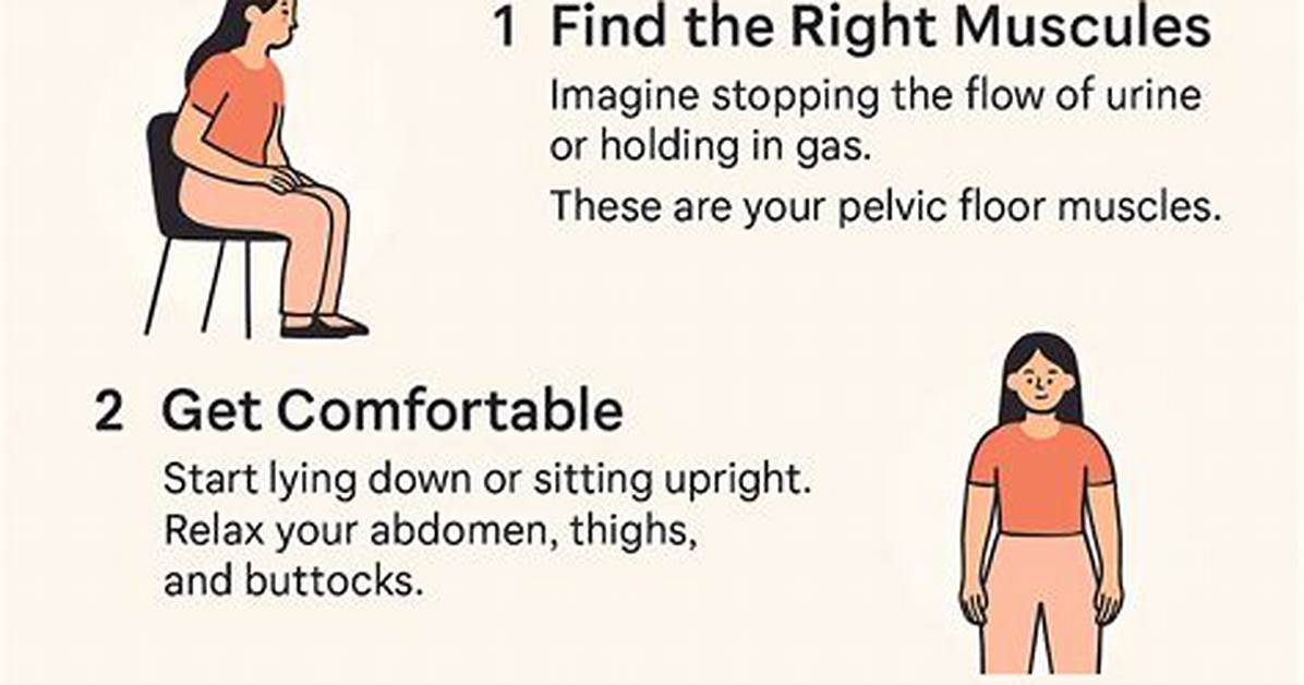 A Guide to "Steph Kegels in the Library"