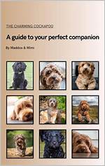 A Guide to Your Charming Companion