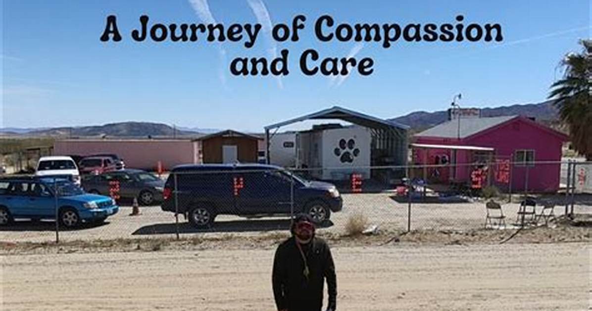 A Journey of Compassion and Animal Care