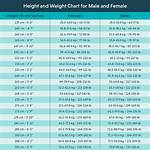 A Journey of Height, Weight, Age, Spouse, and Legacy