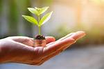 A Journey of Inheritance, Investments, and Philanthropy