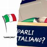 A Journey of Italian Mastery and Innovation