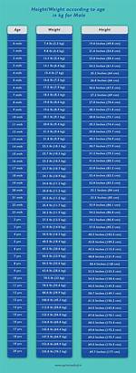 A Journey Through Age, Height, Weight, Relationships, Education, and Career