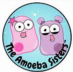 A Journey with Amoeba Sisters Face