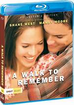 A Walk to Remember: Meet the Unforgettable Cast of the Romantic Classic