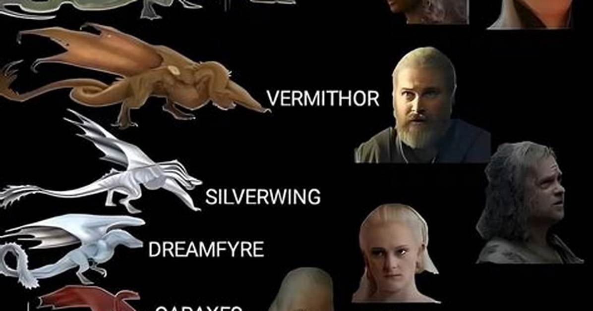 All the Dragons from House of The