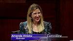 Amanda Vinicky [Wttw] Wikipedia, Age, Salary, Husband, Instagram