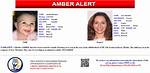 Amber Alert Canceled After 8-Month-Old Found as Hunt for Her Father Terry Aries Levy
