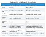 Amino Acid: Understanding Hydrophobic and Hydrophilic Properties