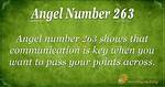 Angel Number 263