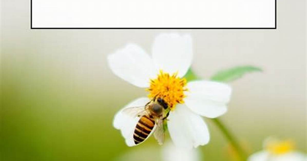 Are You Having Dreams About Bees? Here Is What It Means