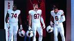 Arizona Cardinals History, Uniforms, Rivalries, Staff, Players, and More