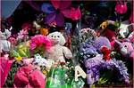 Aubreigh Doll: a Journey into the World of Imagination and Creativity