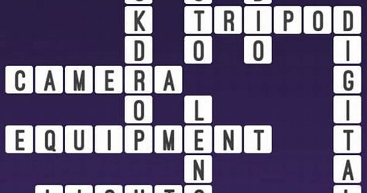 Camera Lens, Essentially Crossword Clue Answer
