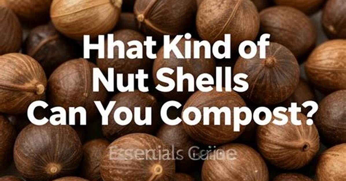 Can Nut Shells Go in Compost? |