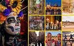Cultural Insights and Surprising Revelations