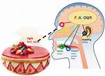 Decoding the Flavor: What Does a Burger and a Grape Snow Cone Mean?