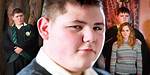 Did Crabbe or Goyle Go to Jail? Celebrity. Fm #1 Official Stars, Business & People Network, W