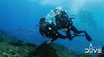 Discover the Chelsea Marie Dive Boat