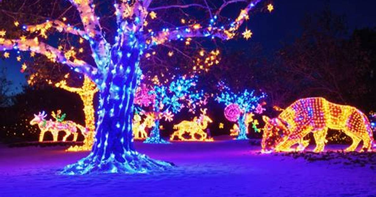 Discover the Enchantment of "Magical Winter Lights Katy"