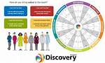Discoveries and Insights for the Awok24 Niche