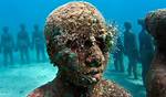 Discoveries from Haunting Underwater Images