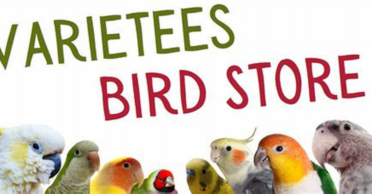 Discoveries from Varieties Bird Store