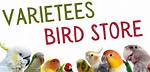 Discoveries from Varieties Bird Store