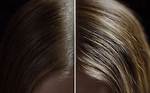Discovering the Allure of Mkvmoviespoint Hair