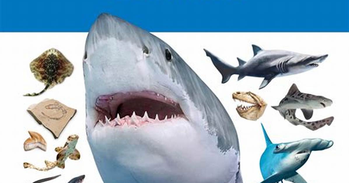 Dive into the Fascinating World of Shark Pfps