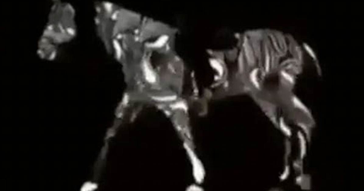 Do You See a Horse Walking Forwards or Backwards? Optical Illusion Divides Opinion