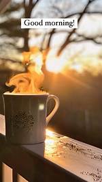 Embracing the Delight of a Good Morning Happy Rainy Saturday