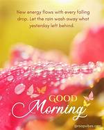 Embracing the Raindrops: Good Morning Wishes for the Rainy Season