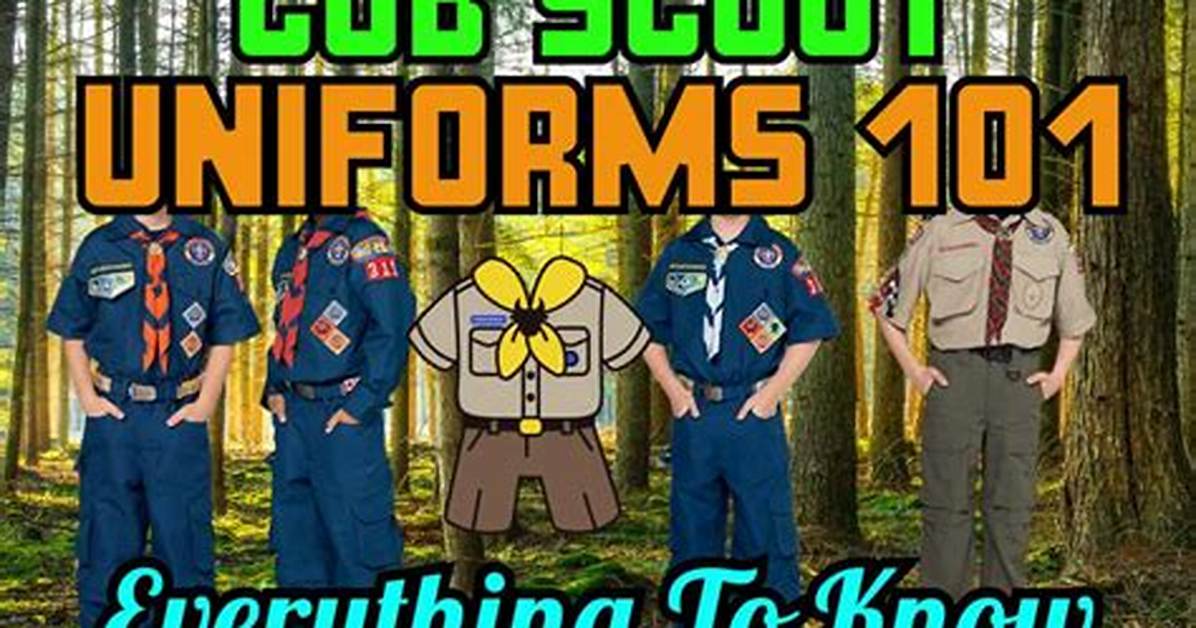 Everything You Need to Know About Scout Supply Stores