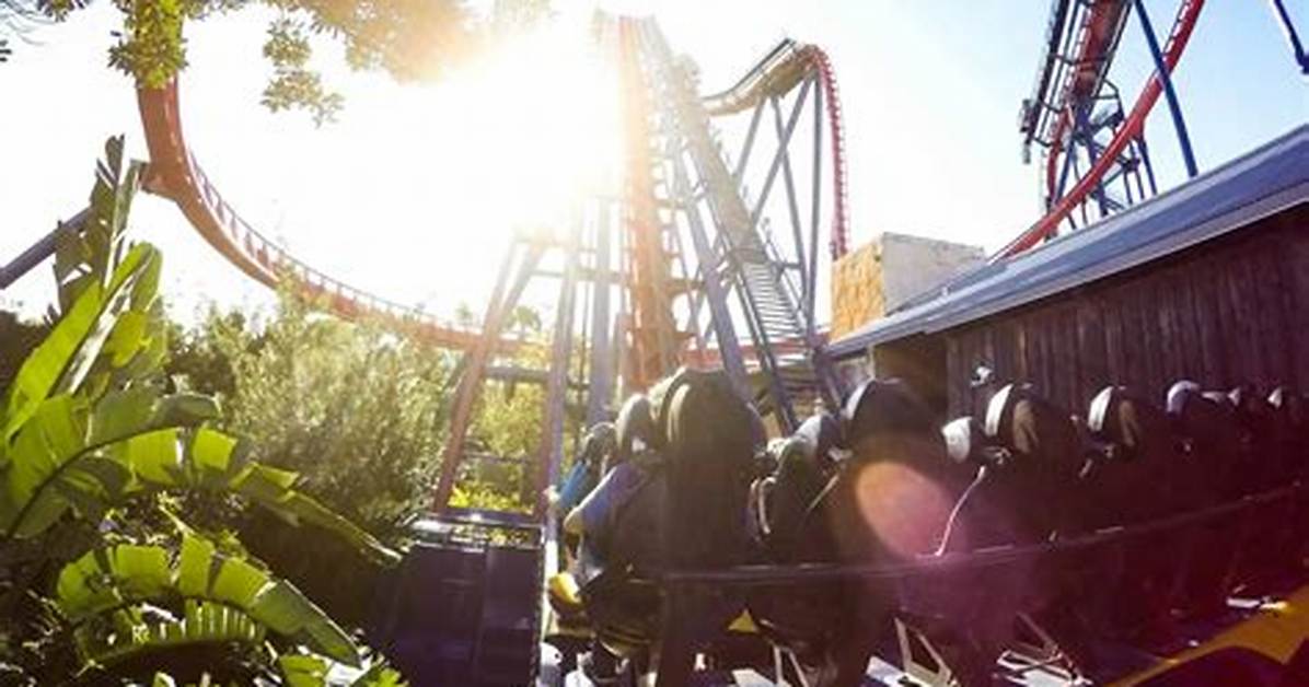 Exploring Fat Friendly Rides at Busch Gardens Williamsburg