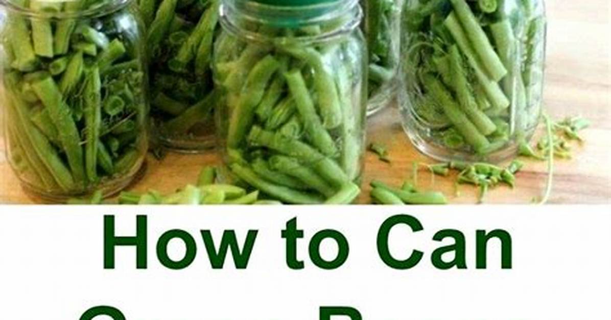 Exploring the Delightful World of Beans, Green Potatoes, and Tomatoes