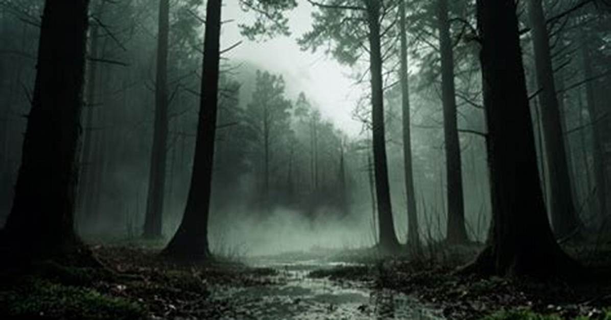 Exploring the Eerie World of Heidi Wong Horror Movies