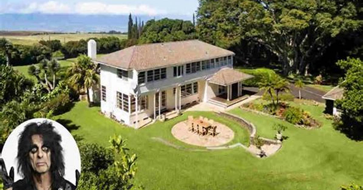 Exploring the Enigmatic Life of Maui Taylor