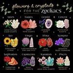 Exploring the Mystique of the Astrological Sign for November 20