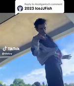 Exploring the Unconventional Rise of Ice Jj Fish
