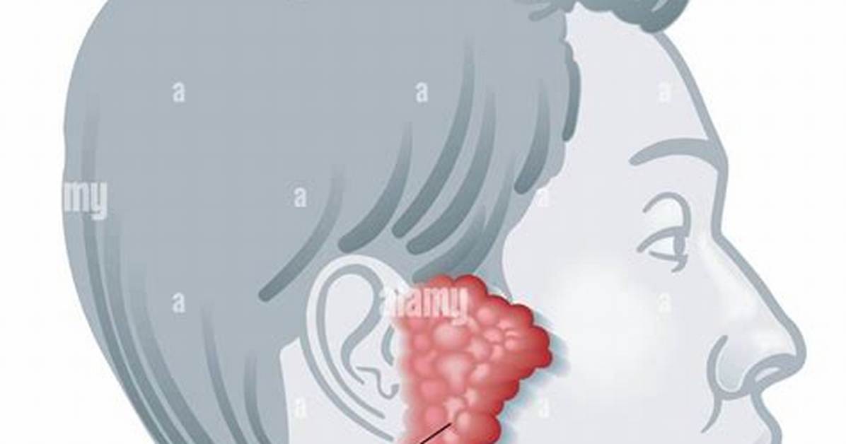 Face Glands and Their Remarkable Role