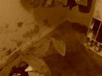 Fidel Lopez Crime Scene Photos the Story Behind Gruesome Murder |