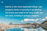 Finding Clarity: Busy and Ignore Quotes for a Focused Life