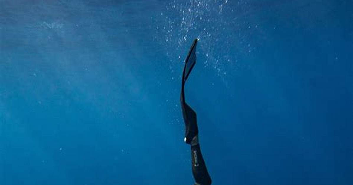 Freediving, Ocean Conservation, and Beyond