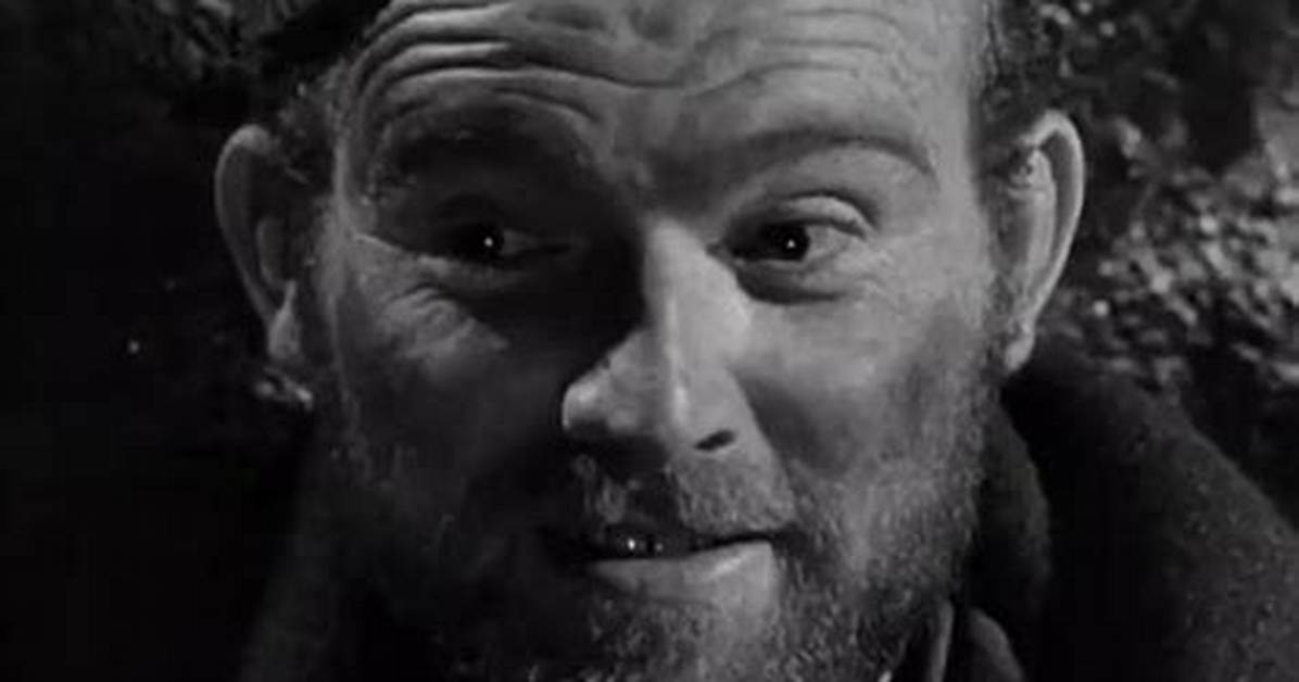 Gene Evans: the Life and Legacy of a Hollywood Icon