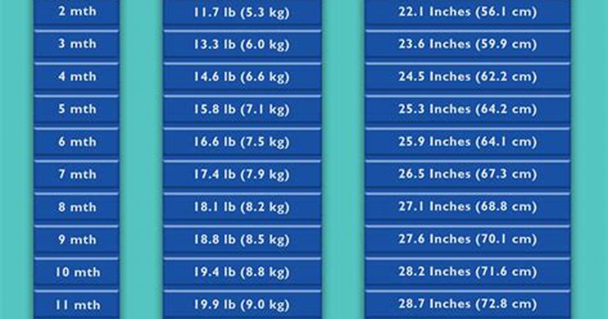 Height, Weight, Age, Spouse, And