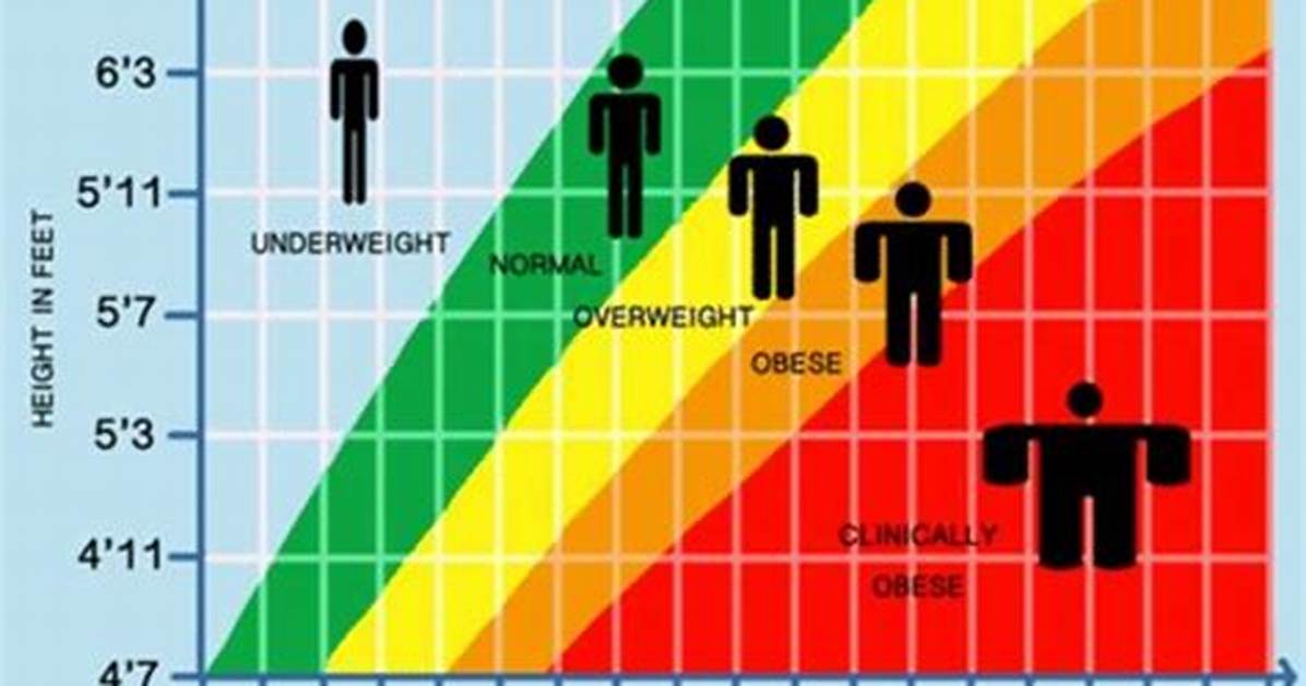 Height, Weight, and the Importance of Embracing Your Body