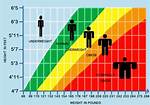 Height, Weight, and the Importance of Embracing Your Body